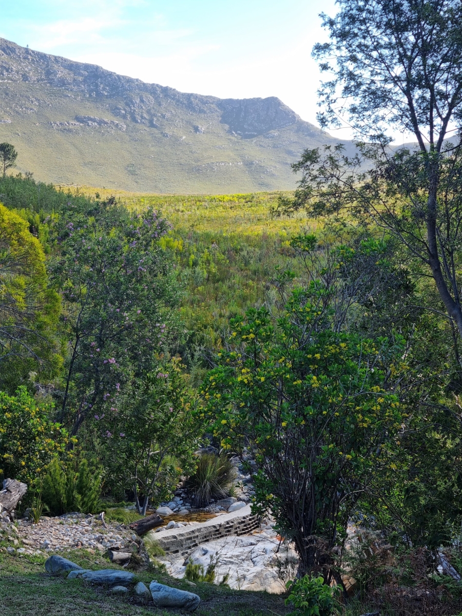 0 Bedroom Property for Sale in Joubertina Eastern Cape